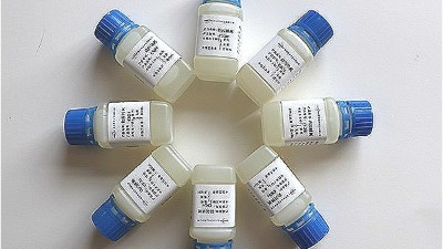 關(guān)于海水中防閃銹劑對(duì)不銹鋼的保護(hù)