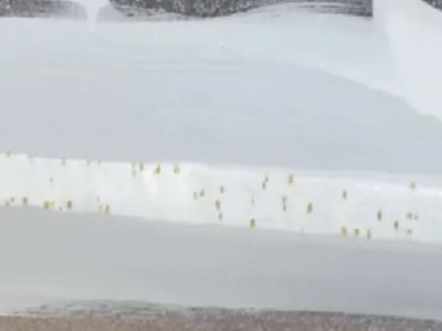 水性涂料防閃銹劑